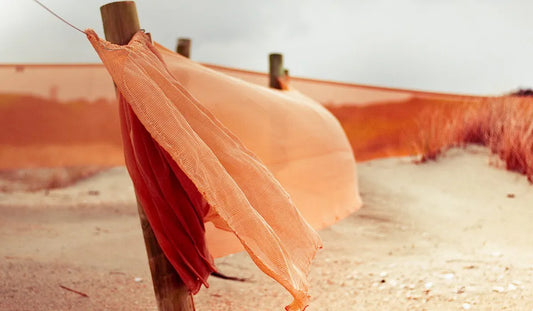 Apricot Crush!!! El color del año 2024