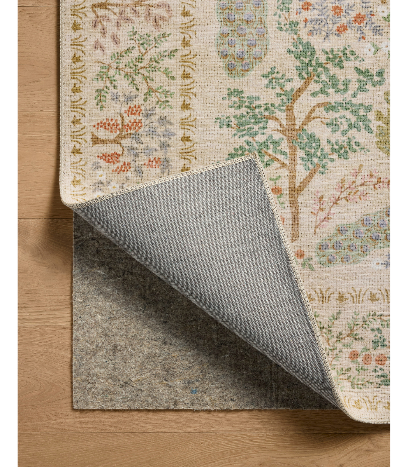 Alfombra Canopy 05 Cream Rifle Paper Co x Loloi (77X229)