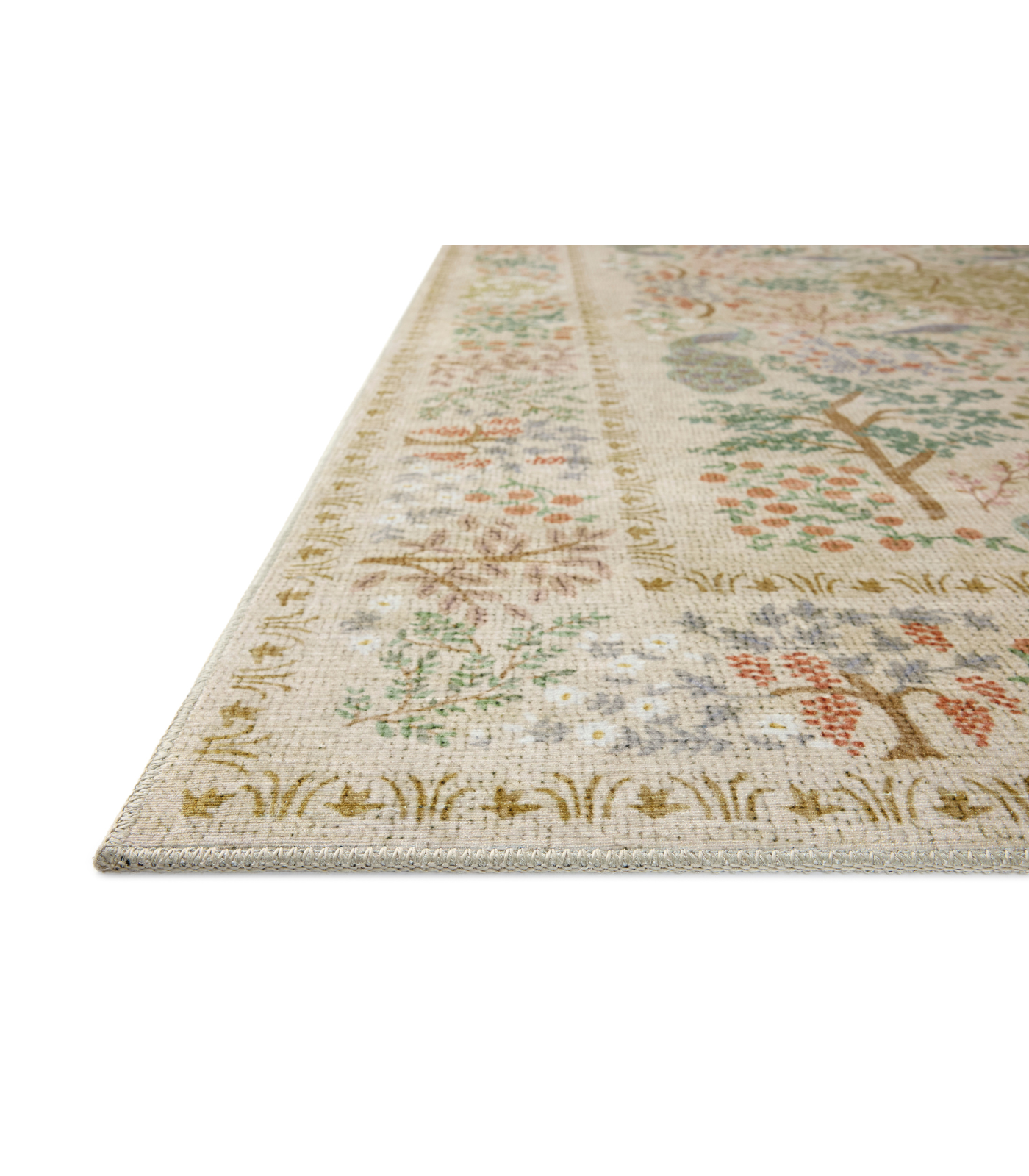 Alfombra Canopy 05 Cream Rifle Paper Co x Loloi (77X229)