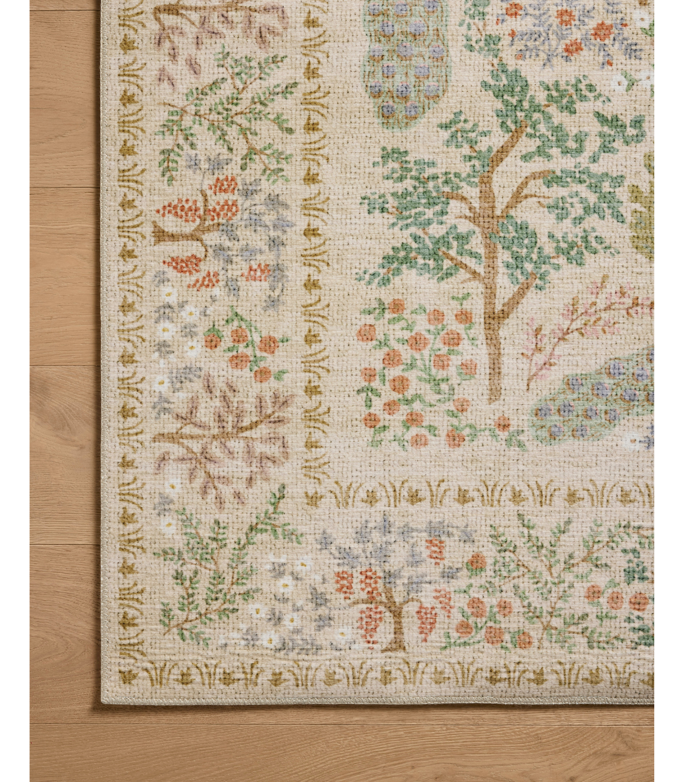 Alfombra Canopy 05 Cream Rifle Paper Co x Loloi (77X229)