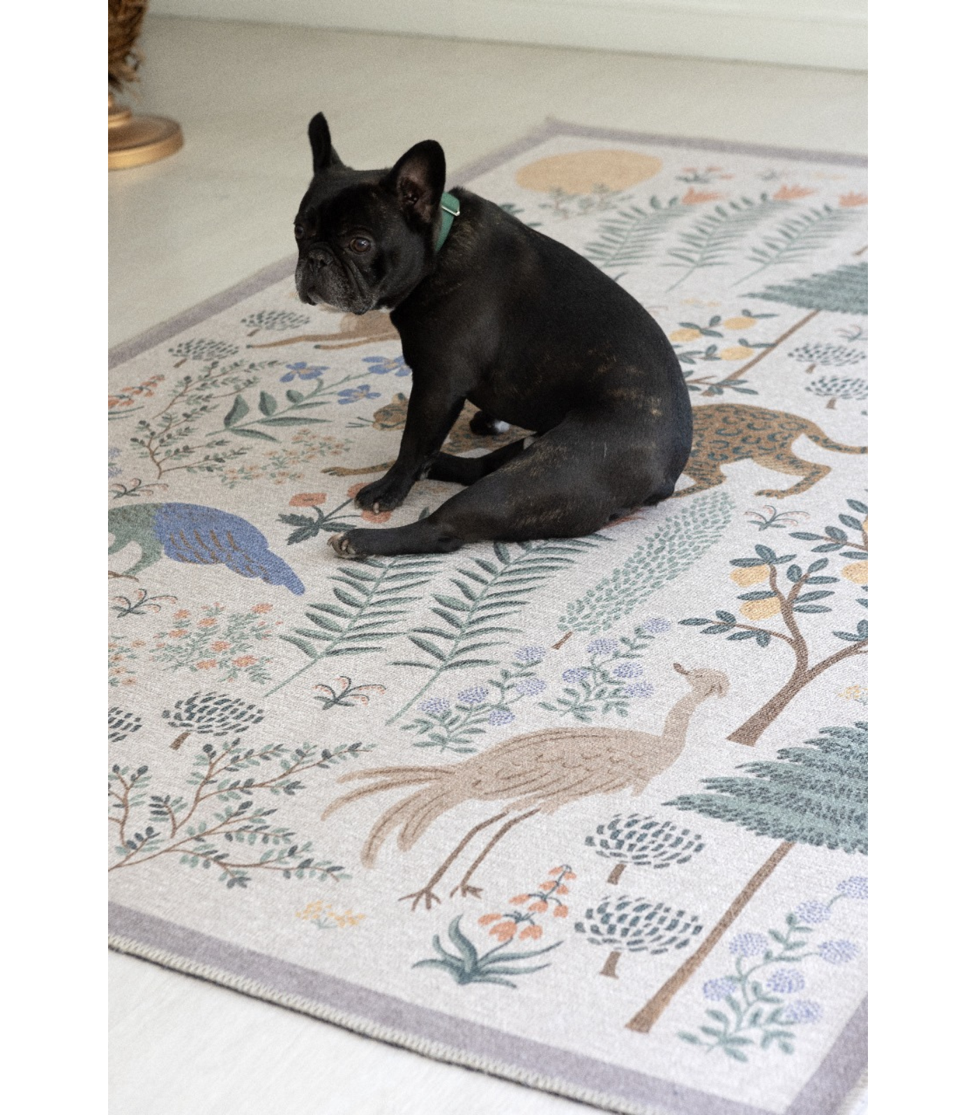 Alfombra Menagerie 01 Les Fauves Cream Rifle Paper Co. × Loloi (115X176)